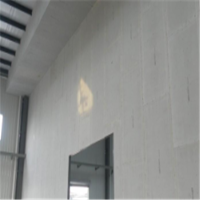 偏关宁波ALC板|EPS加气板隔墙与混凝土整浇联接的实验研讨